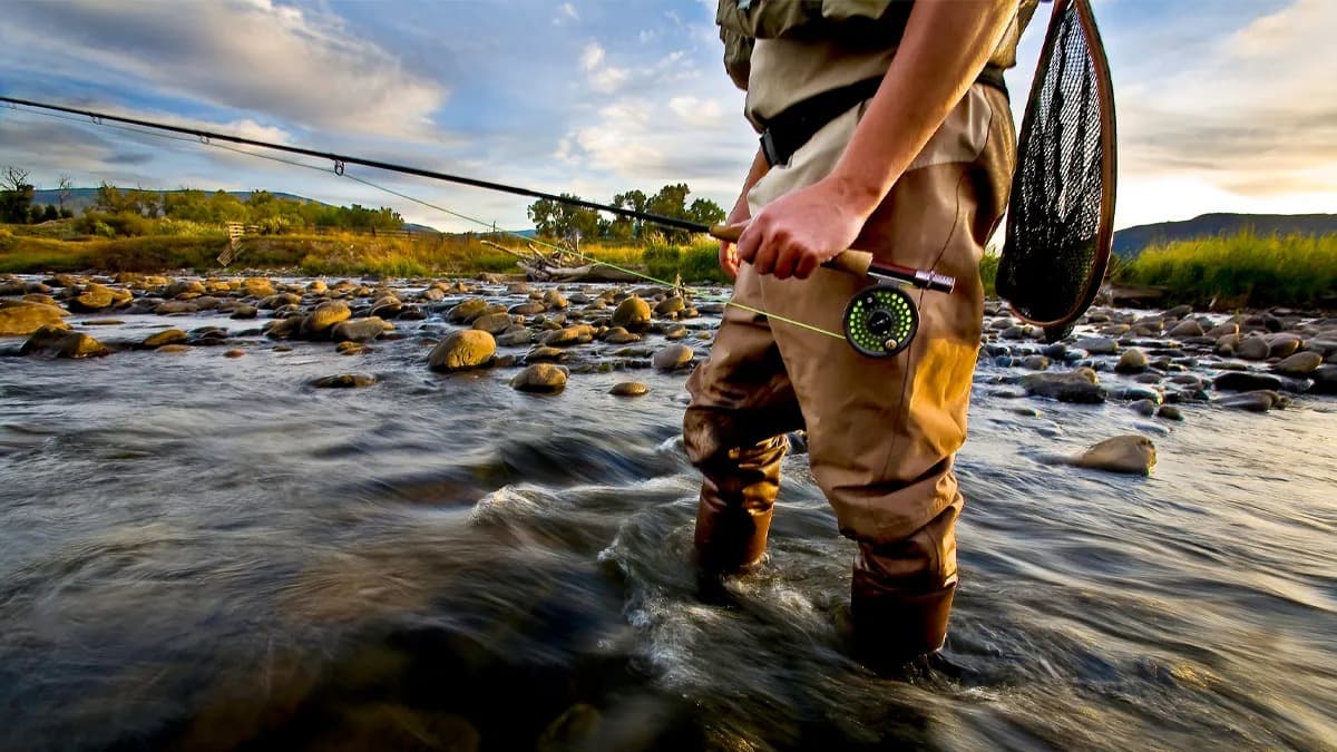 Saltwater Fly Fishing Species: What You Can Catch